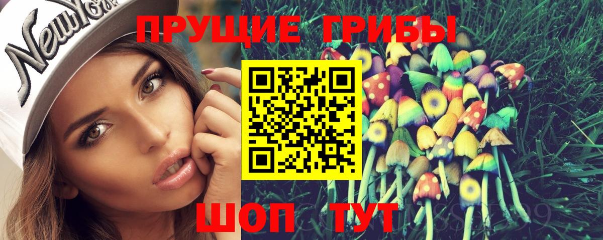 Псилоцибиновые грибы GOLDEN TEACHER Знаменск