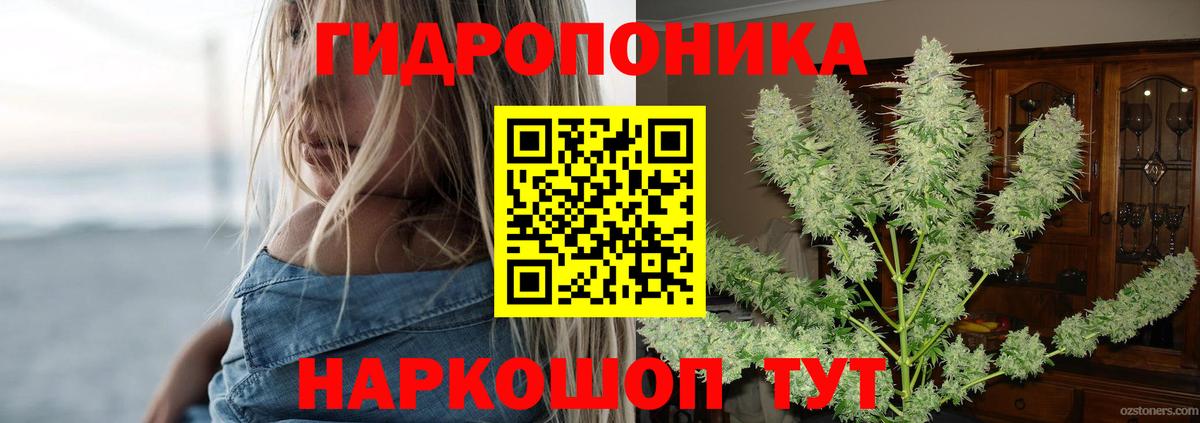 Марихуана планчик Знаменск